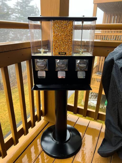 202D Summit - Completely Remodeled Modern Condo In Summit! スノーシュー エクステリア 写真